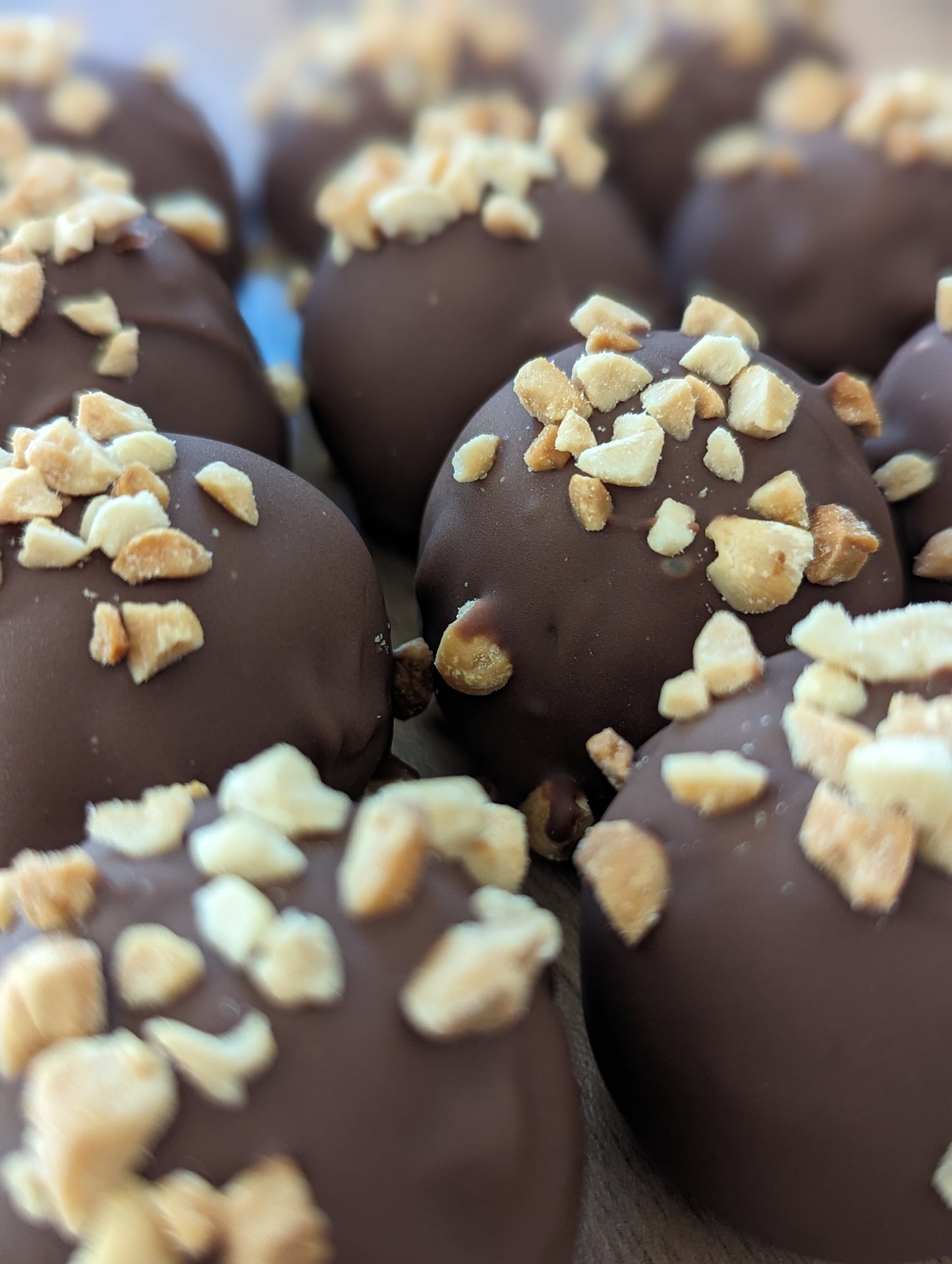Protein Truffles - BOX OF 12